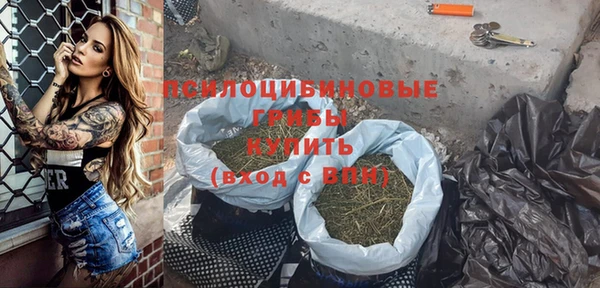 ГАЛЛЮЦИНОГЕННЫЕ ГРИБЫ Магас