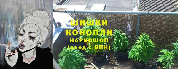 ГАЛЛЮЦИНОГЕННЫЕ ГРИБЫ Магас