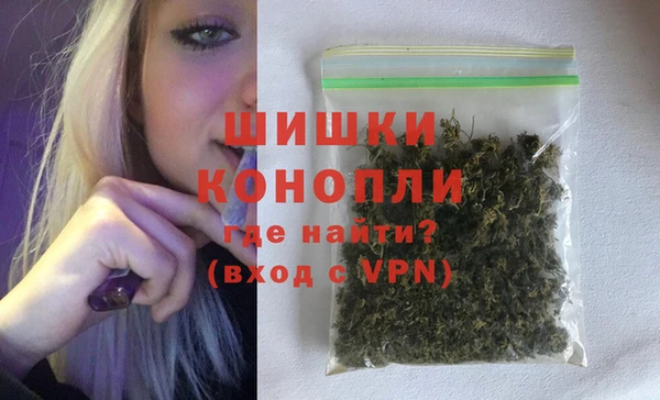 ГАЛЛЮЦИНОГЕННЫЕ ГРИБЫ Магас