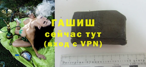 ГАЛЛЮЦИНОГЕННЫЕ ГРИБЫ Магас